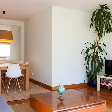 The Refreshing Seaside Apartment